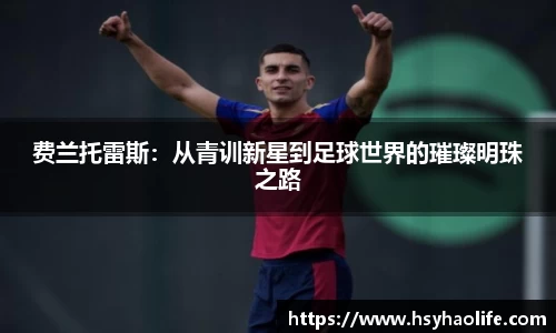 费兰托雷斯：从青训新星到足球世界的璀璨明珠之路